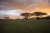 Национальный Парк Серенгети - стервятники отдыхают на закате солнца