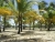 Пальмы на пляже Коуру в Гвиане