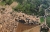 Вид с воздуха на Иерихон - видны древние руины Телль-эс-Султан