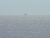 Вид на морскую платформу Княжества Силенд издалека