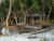 Традиционное каноэ жителей Токелау (так называемая Вака) просто лежит на пляже рядом с домом хозяина